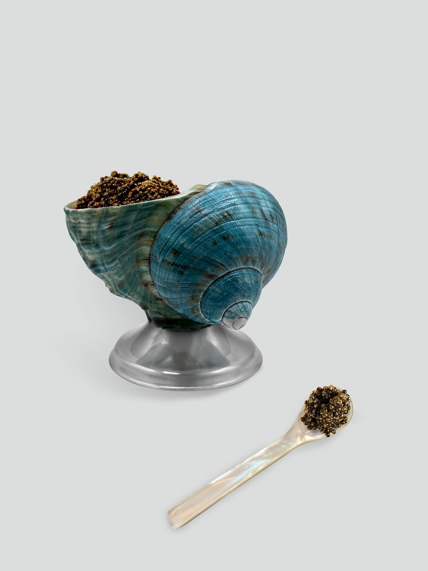 shell décor bowl