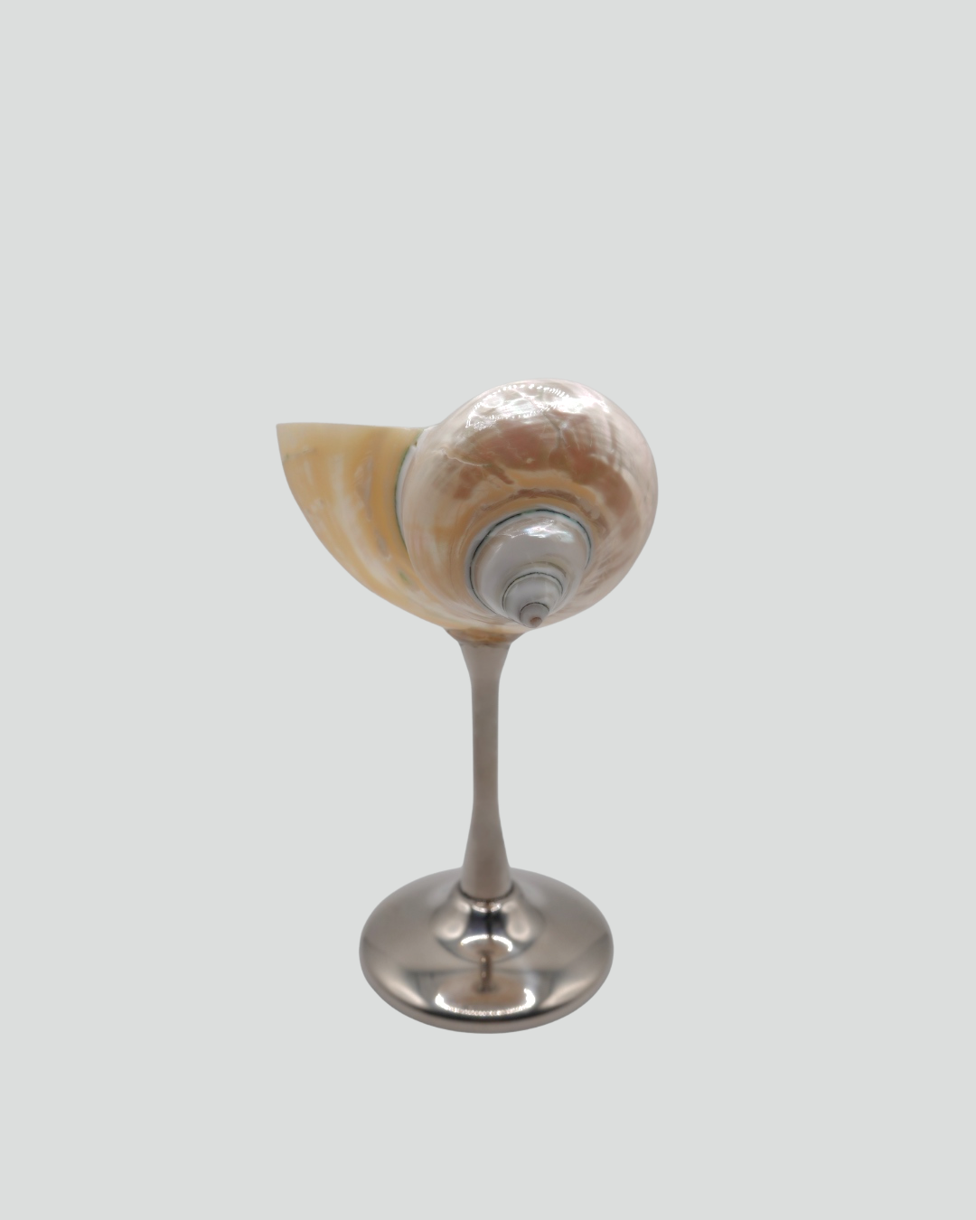 shell cocktail glass
