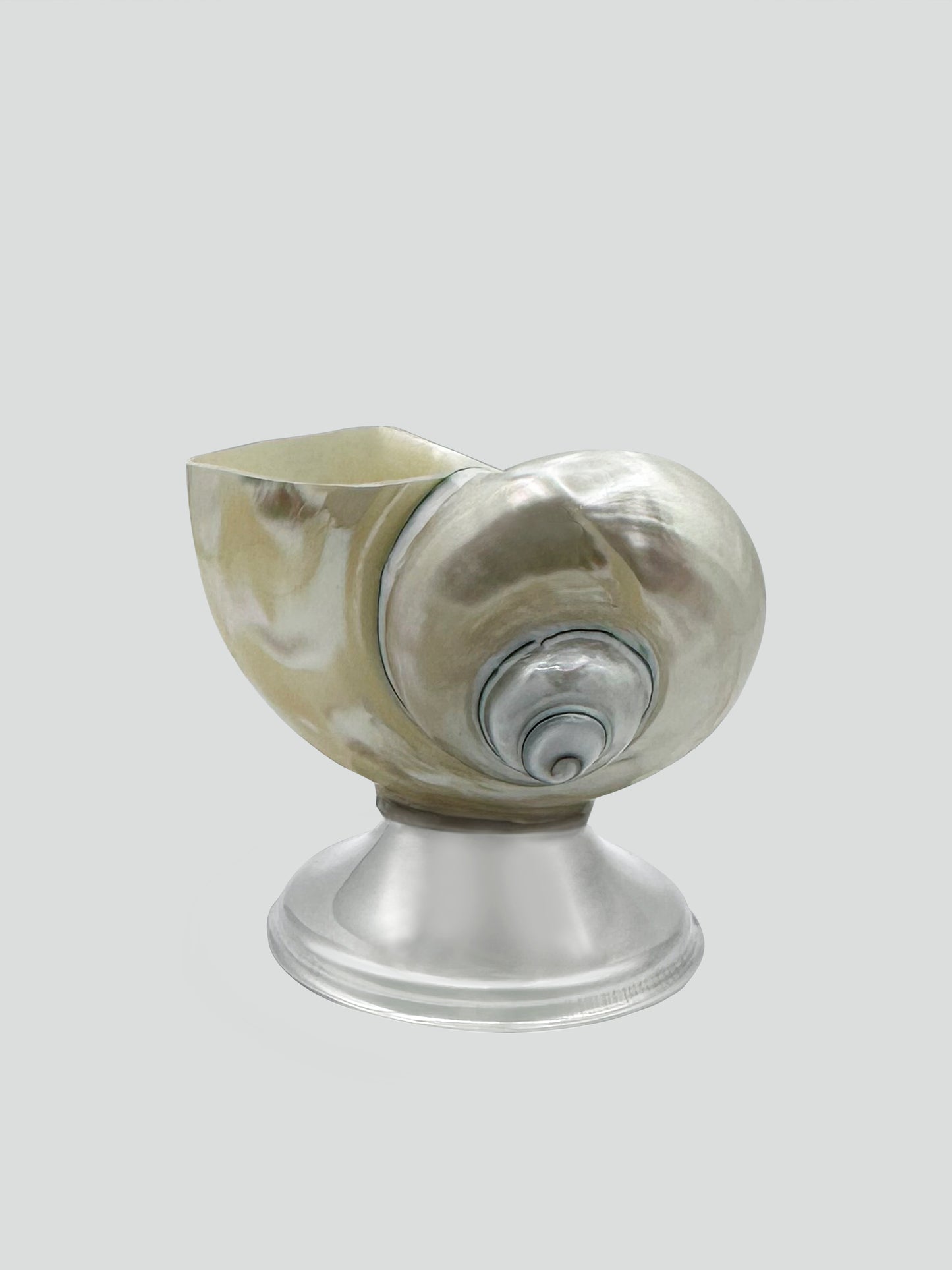 shell décor bowl