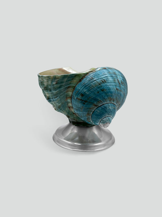 shell décor bowl