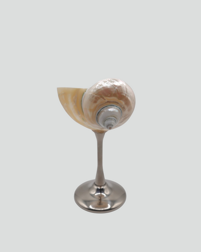 shell cocktail glass