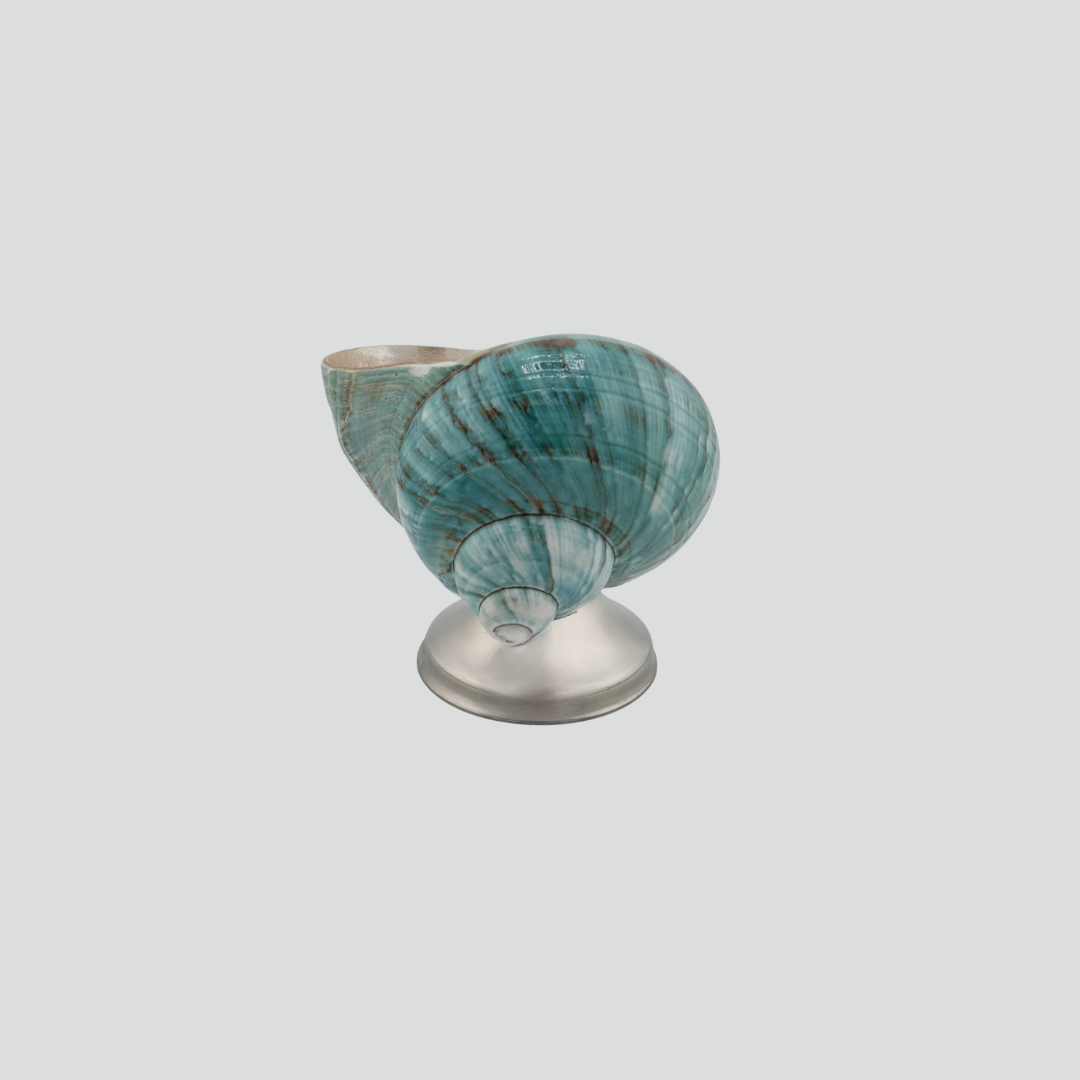 shell décor bowl