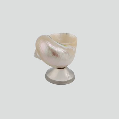 shell décor bowl