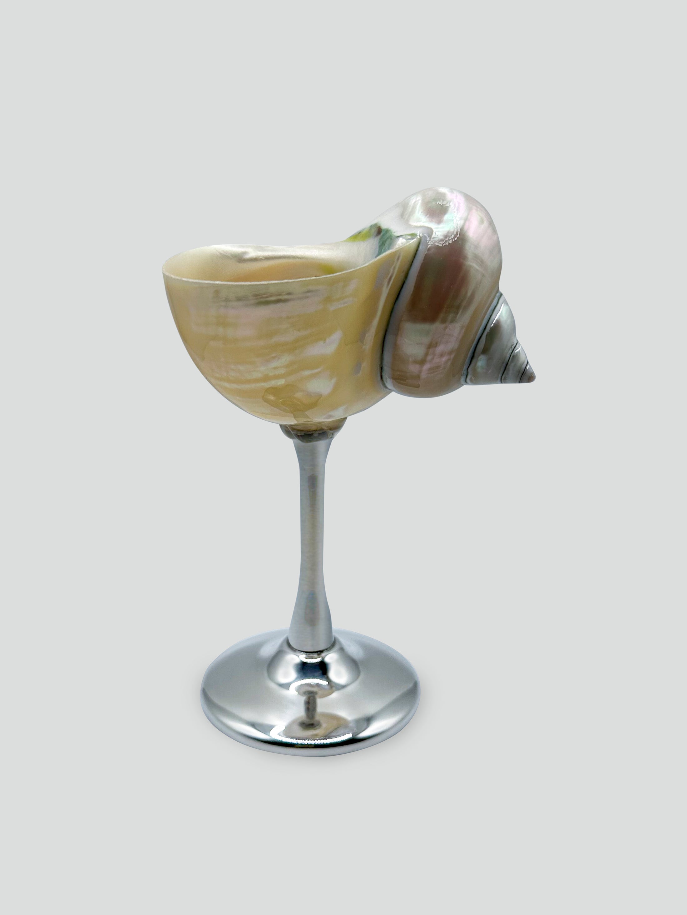 shell cocktail glass – TRES J