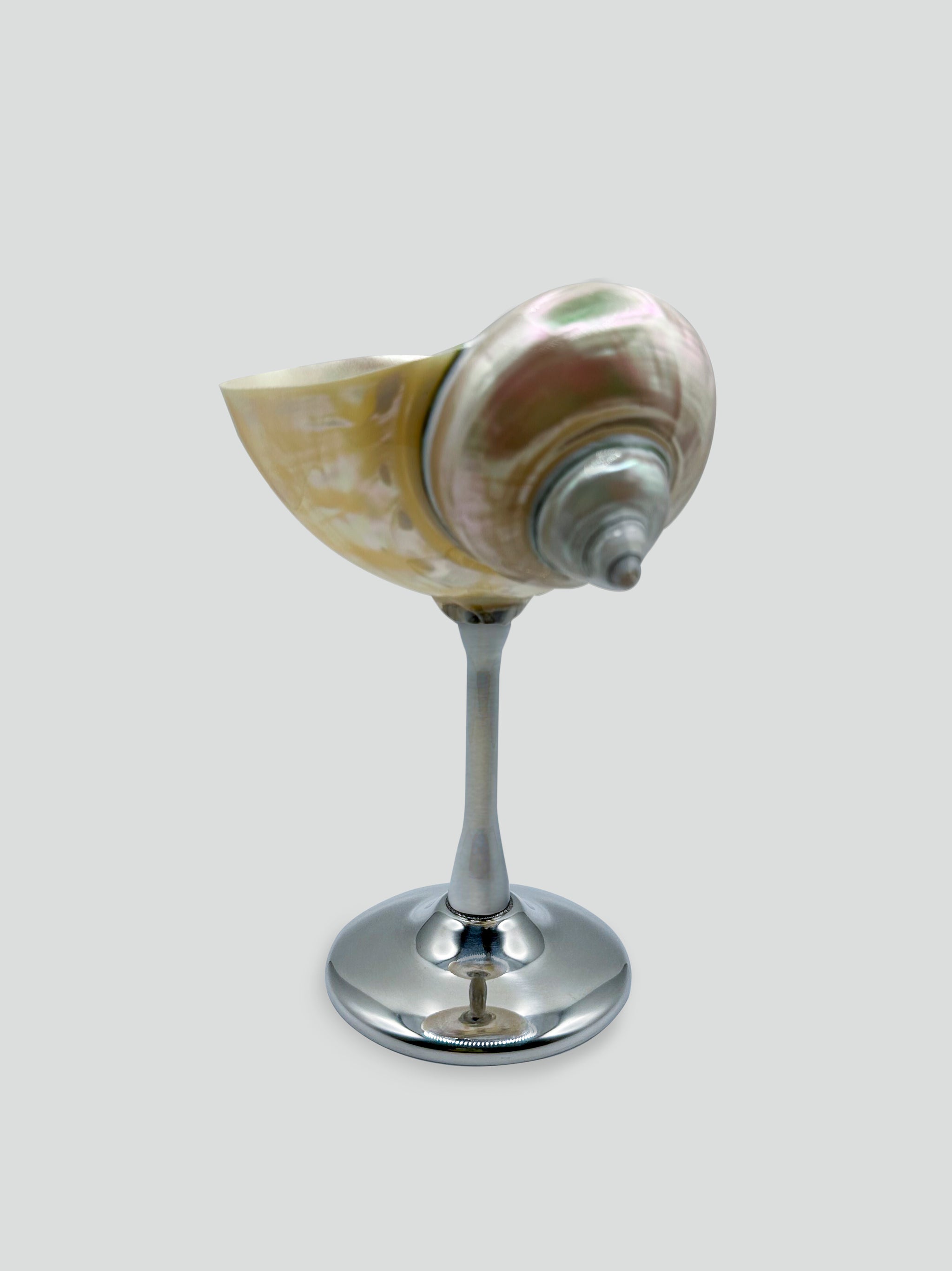 shell cocktail glass – TRES J