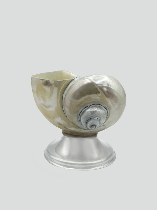 shell décor bowl